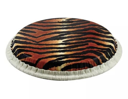 Conga drumhead remo - drumhead, remo,