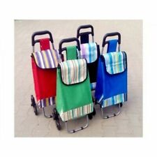 Carrello spesa  sale le scale