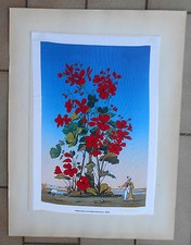 ROMANO GAZZERA SERIGRAFIA SU