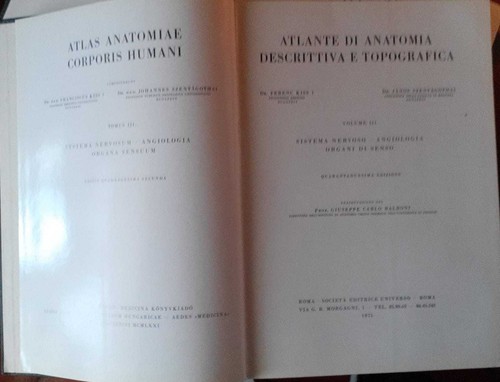 Atlante anatomia umana - anatomia,