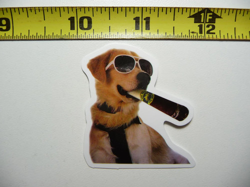 Labrador retriever giocattolo - retriever,