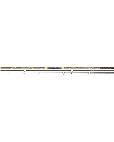 Canna cassiopea nxt surf - cassiopea,
