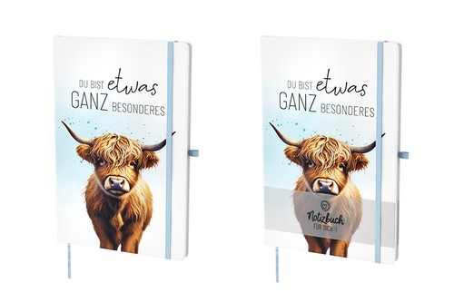 Quaderno manzo - quaderno,