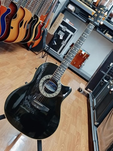 Chitarra elettrica acustica