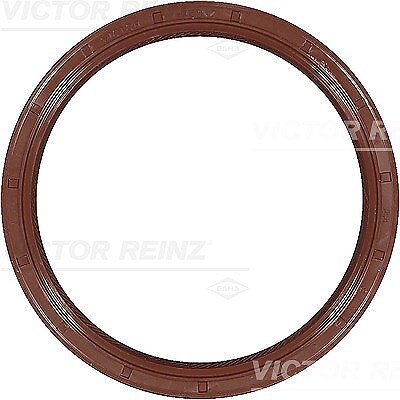Paraolio victor reinz lato - reinz,,