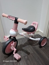 Bicicletta triciclo per