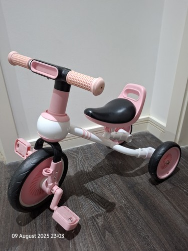 Bicicletta triciclo per