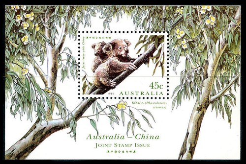 Australia foglio ricordo orso - foglio,