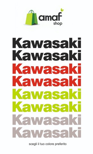 Coppia adesivi kawasaki - adesivi,