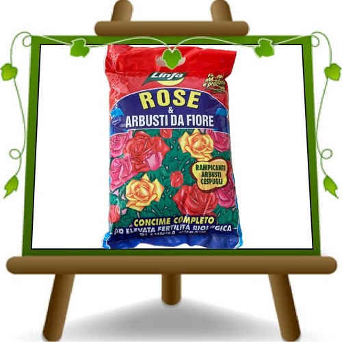Concime rose arbusti - concime, �