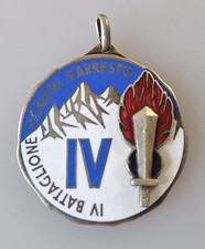 MEDAGLIA SMALTATA REGIO ESERCITO IV BATTAGLIONE GENIO GUASTATORI