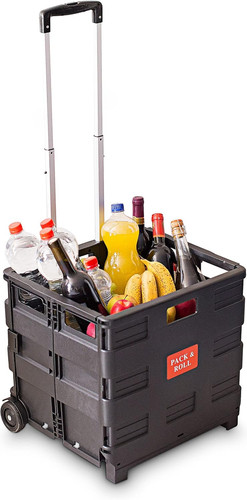 Carrello portaspesa plastica - carrello, portaspesa,