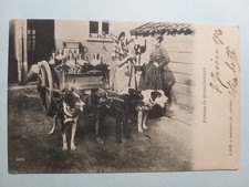 Belgium - Flemish Dairy -