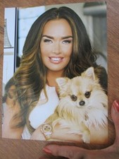 spitz cane pomerania foto