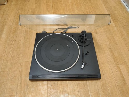 Yamaha 530 natural - yamaha, sound