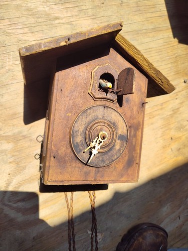 Antico orologio cucù - antico,