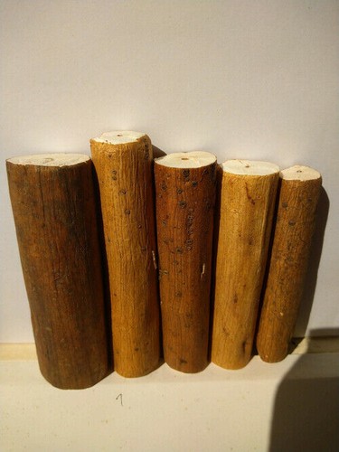 Pithwood pith wood ricambi - pith,