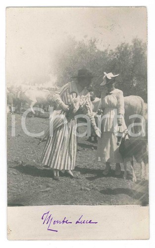1917 perugia monteluce - perugia,
