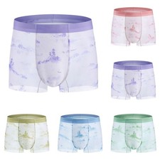 Boxer Ice Silk Seamless Trunks