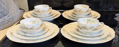 Theodore haviland limoges - haviland,