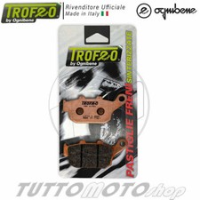 PASTIGLIE FRENO POSTERIORE