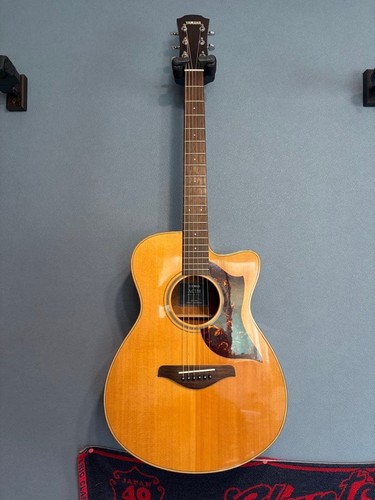 Chitarra elettrica acustica