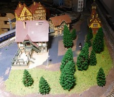 20 Abeti Verde Scuro, Alberi