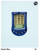 💾 Cartolina d'epoca Palm