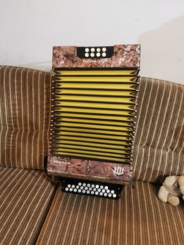 Organetto diatonico vintage - organetto,
