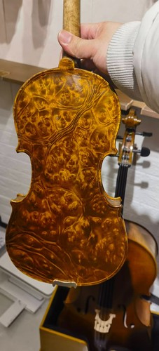 Violino professionale bird eye - bird,