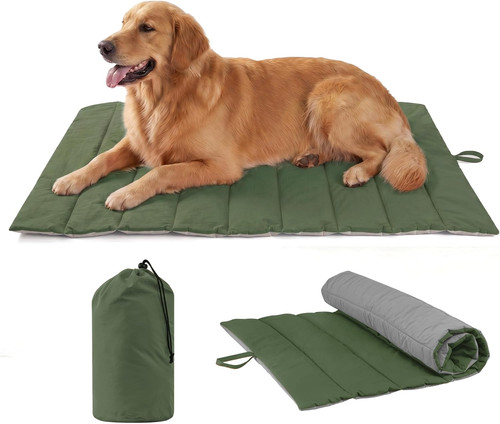 Cuccia cane grande - cane,