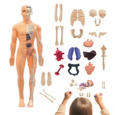 Struttura Giocattoli