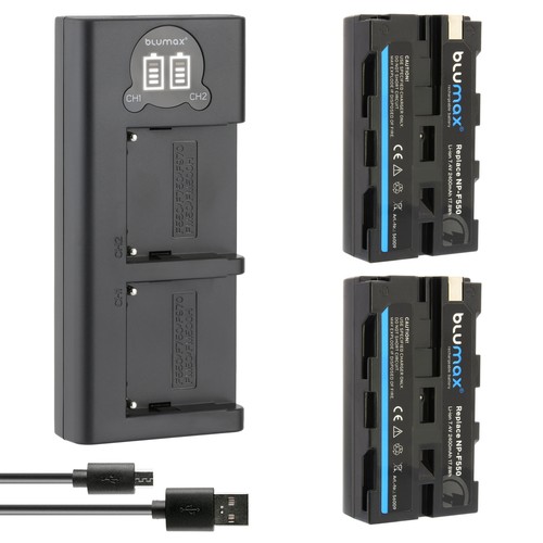 Batteria caricatore lcd - 2x,