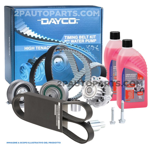 Kit distribuzione fiat bravo - fiat,