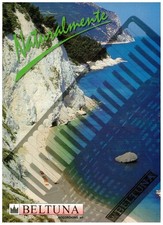 CATALOGO FISARMONICA BELTUNA