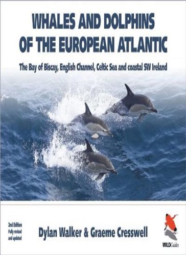 Whales and dolphins - and,