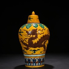 Antico vaso prunus drago