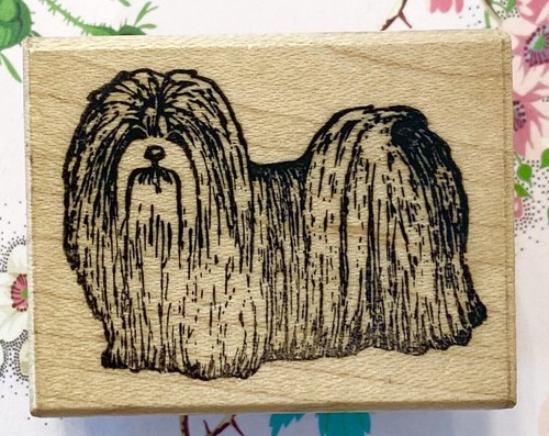 Vintage shi tzu cucciolo cane - shi,