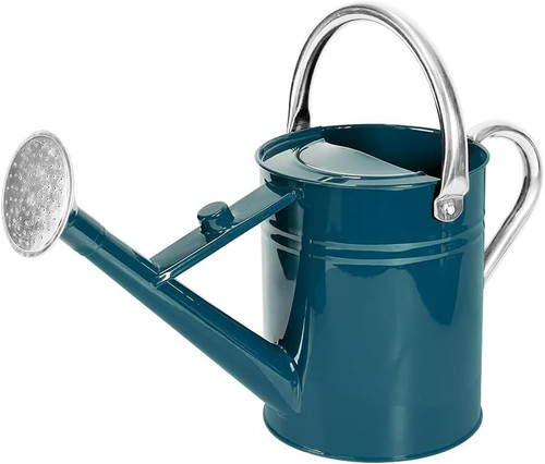 Annaffiatoio metallo 1 - in,