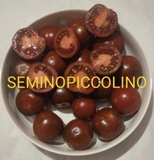 25 Semi Pomodoro Camone Sardo