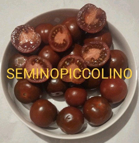 Semi pomodoro camone - semi,
