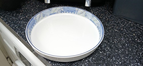 Wedgwood indaco grande - indaco,