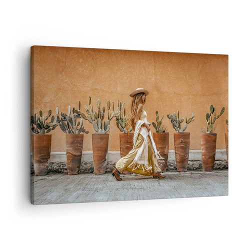 Quadro tela 70x50cm boho - su,