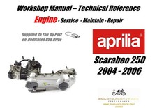 Aprilia Scarabeo 250 Motore