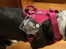 NWT HURRTA  Postroj ACTIVE DOG