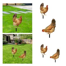 decorativi per galline da