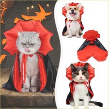 Carino halloween pet - halloween,