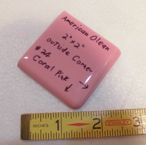 Rosa corallo x 2 - 1, 2"
