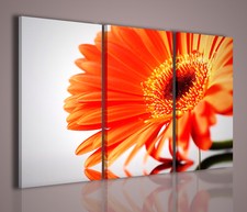 QUADRI MODERNI FANTASTIC BLOOM