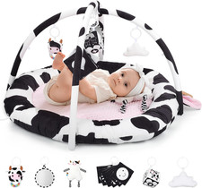 Palestrina Neonate,Vacca